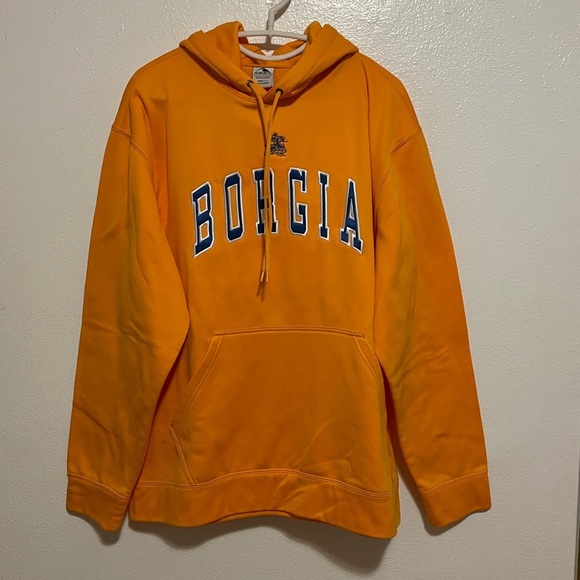 St. Francis Borgia School Yellow Hoodie Size Large - Picture 1 of 4
